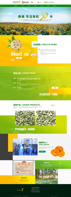 网页制作资源与技巧全解析 从特效到设计实战